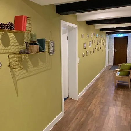 Zum Braunen Hirschen בית הארחה באד דריבורג