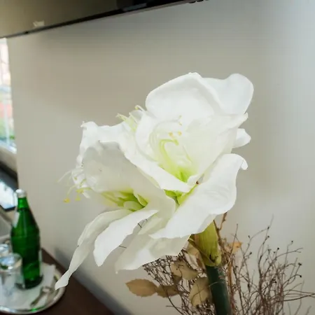 בית הארחה Zum Braunen Hirschen