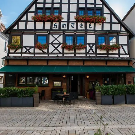 Zum Braunen Hirschen בית הארחה באד דריבורג