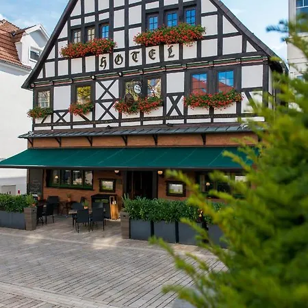 Zum Braunen Hirschen Guest house Bad Driburg