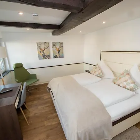 Zum Braunen Hirschen בית הארחה באד דריבורג