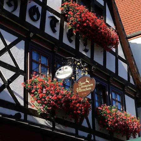 Zum Braunen Hirschen Bad Driburg