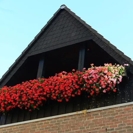 בית הארחה Zum Braunen Hirschen באד דריבורג