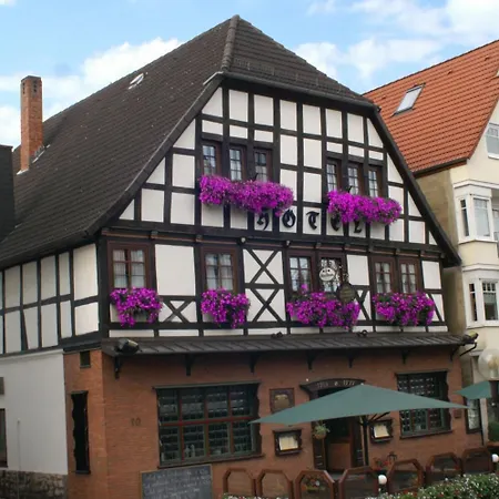 בית הארחה Zum Braunen Hirschen