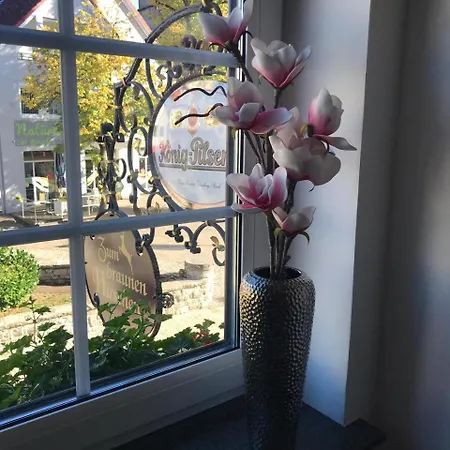 בית הארחה Zum Braunen Hirschen