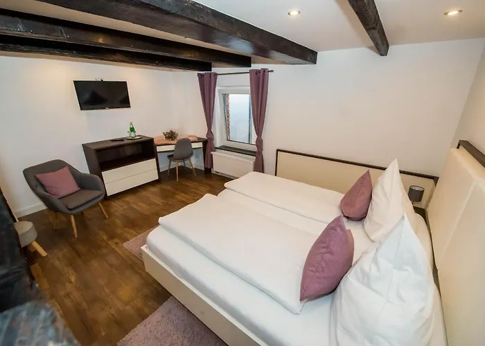 Zum Braunen Hirschen باد دريبرغ