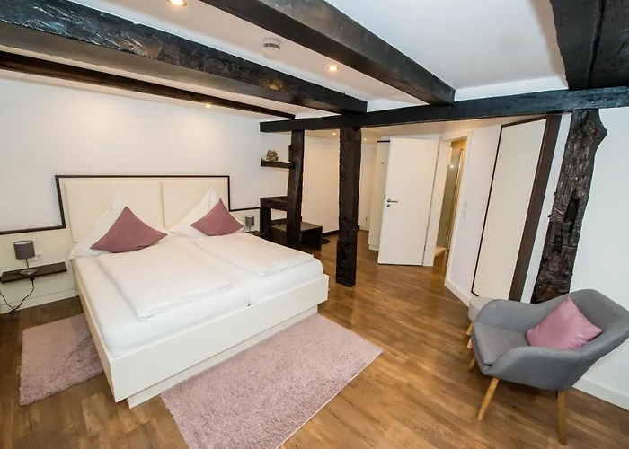 Zum Braunen Hirschen بيت ضيافة 3*