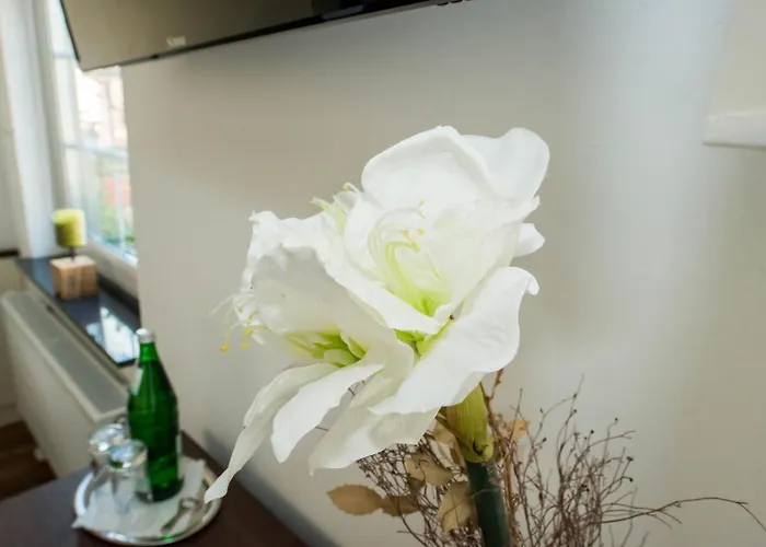 Gæstehus Zum Braunen Hirschen