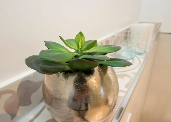 بيت ضيافة Zum Braunen Hirschen