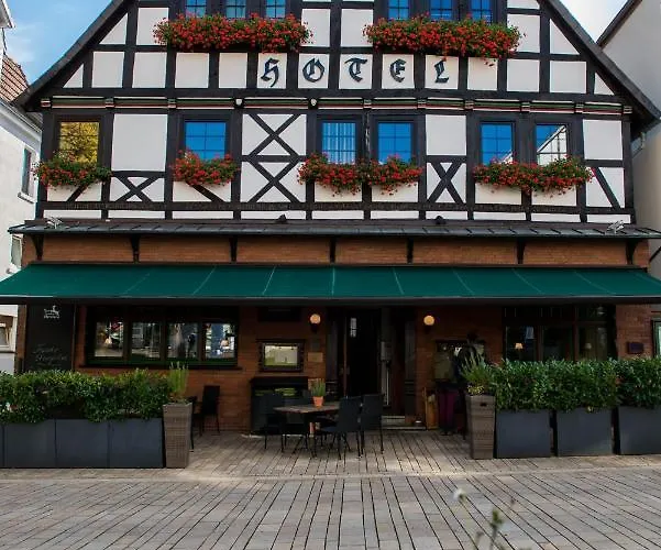 Zum Braunen Hirschen Gæstehus Bad Driburg