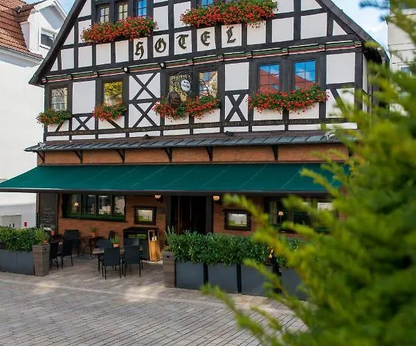 Zum Braunen Hirschen Gæstehus Bad Driburg