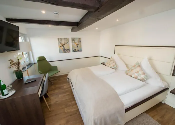 Zum Braunen Hirschen بيت ضيافة باد دريبرغ