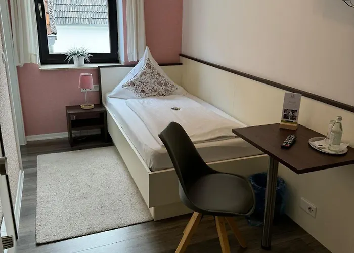 Zum Braunen Hirschen Vendégház Bad Driburg