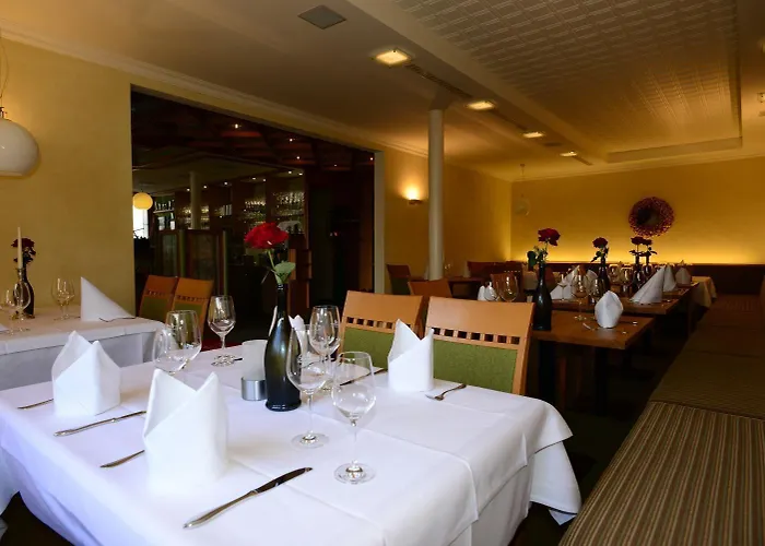 בית הארחה Zum Braunen Hirschen באד דריבורג