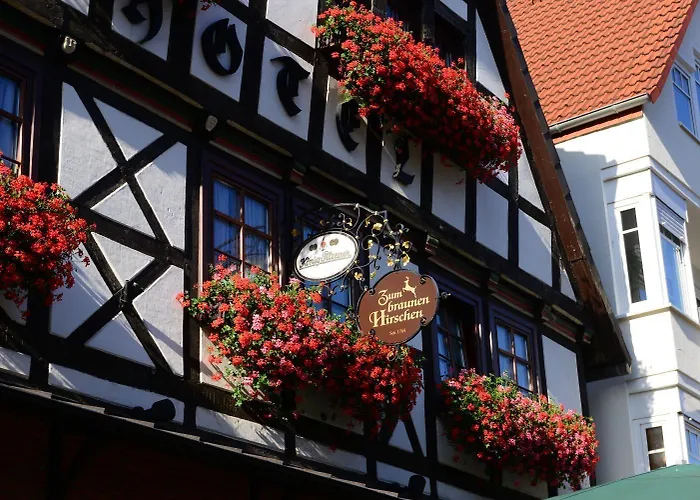 Zum Braunen Hirschen Bad Driburg