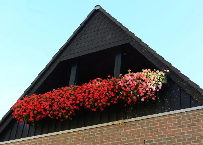 Vendégház Zum Braunen Hirschen Bad Driburg