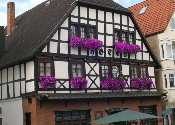 Vendégház Zum Braunen Hirschen