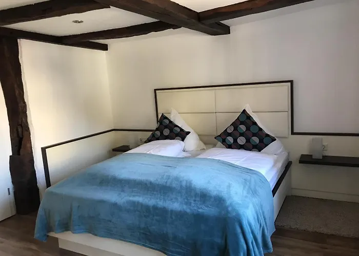 Zum Braunen Hirschen بيت ضيافة